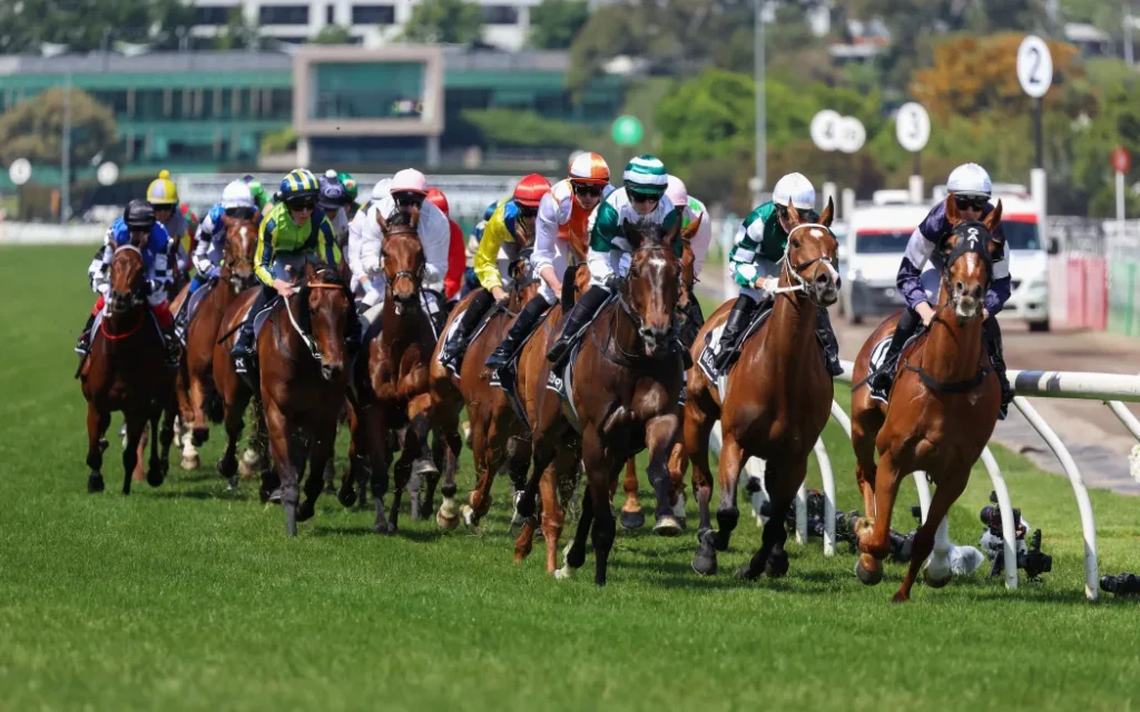 Melbourne Cup Australia, Ajang Spektakuler Balapan Kuda